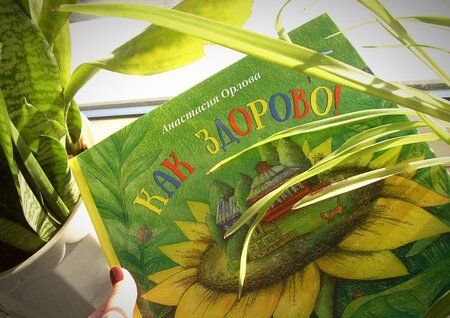 Фотография книги "Анастасия Орлова: Как здорово!"