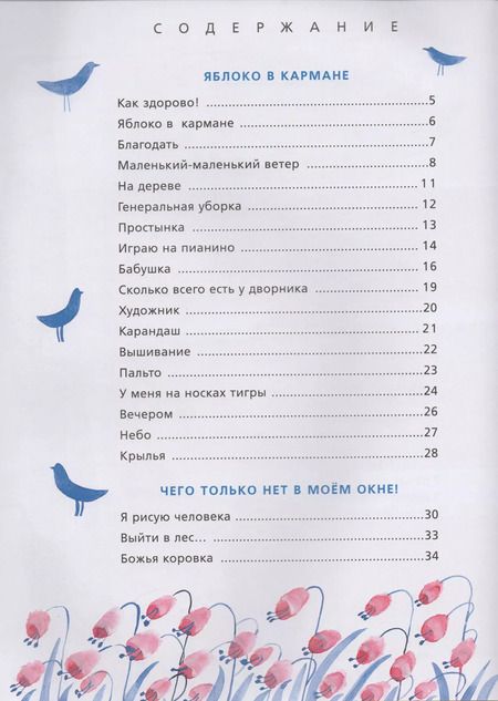 Фотография книги "Анастасия Орлова: Маленький-маленький ветер"