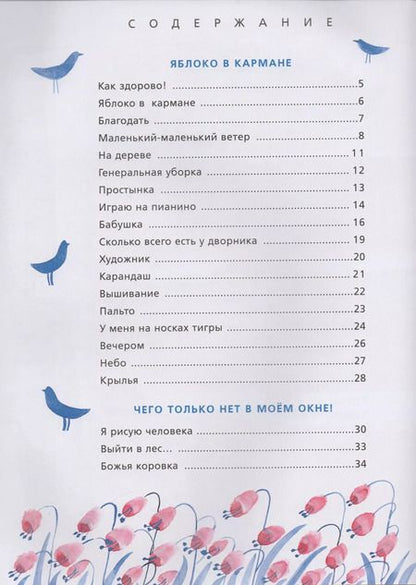 Фотография книги "Анастасия Орлова: Маленький-маленький ветер"