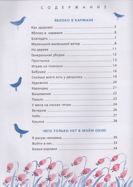 Фотография книги "Анастасия Орлова: Маленький-маленький ветер"