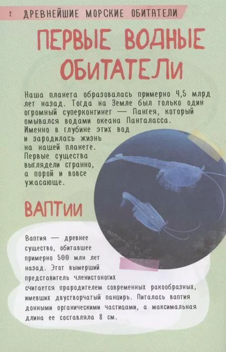 Фотография книги "Анастасия Прудник: 250 лучших секретов о подводном мире"