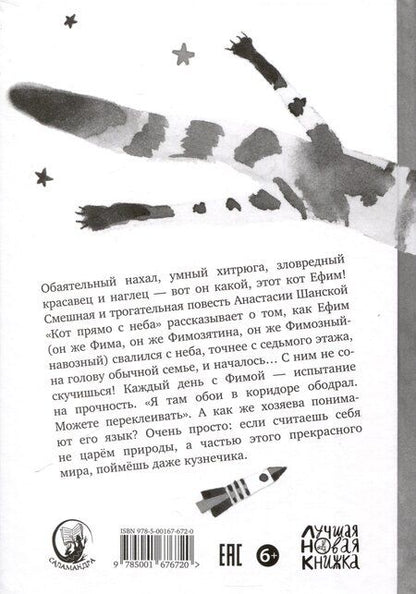 Фотография книги "Анастасия Шанская: Кот прямо с неба"