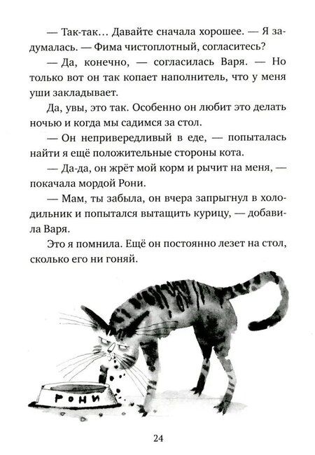 Фотография книги "Анастасия Шанская: Кот прямо с неба"