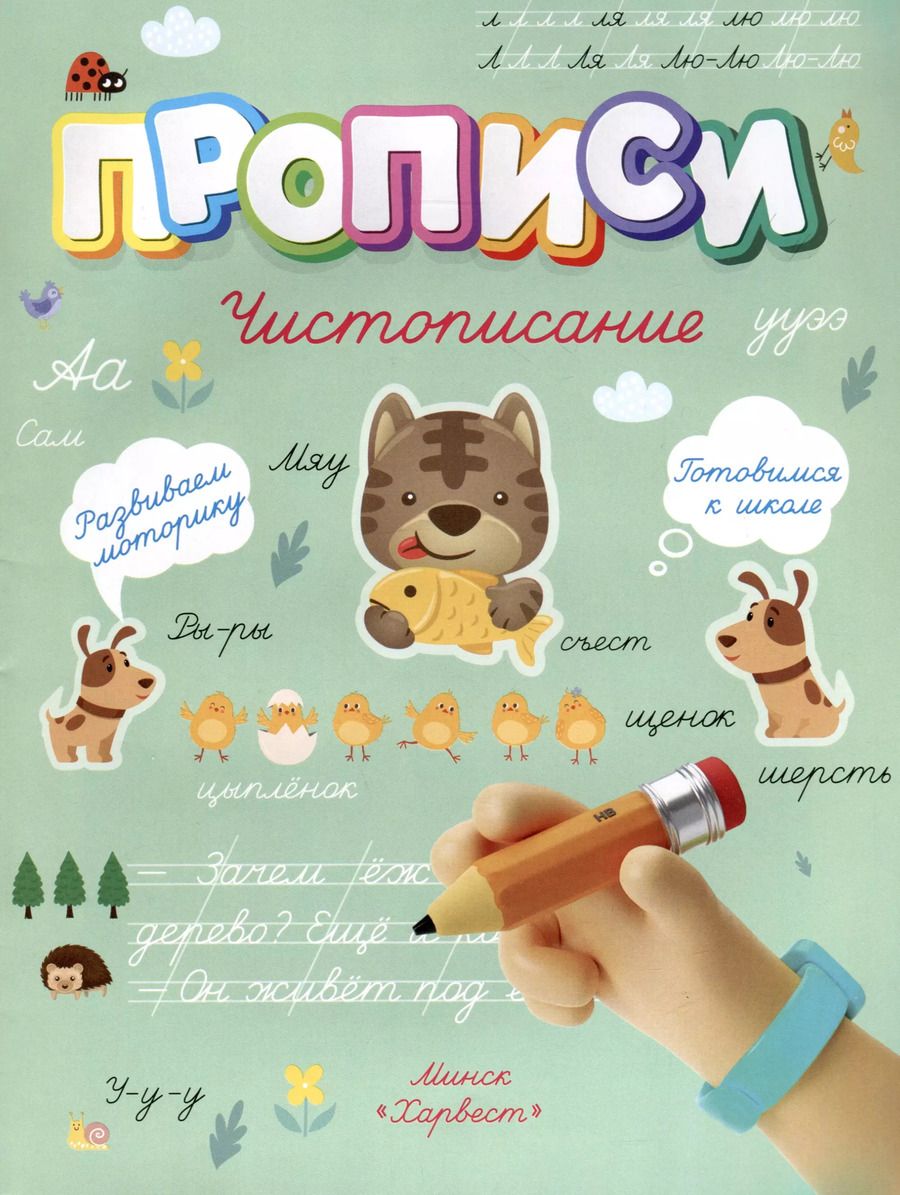 Обложка книги "Анастасия Шепелевич: Чистописание"