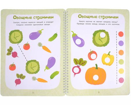 Фотография книги "Анастасия Шепелевич: Многоразовая тетрадь 2-3 года. Моторика и логика"