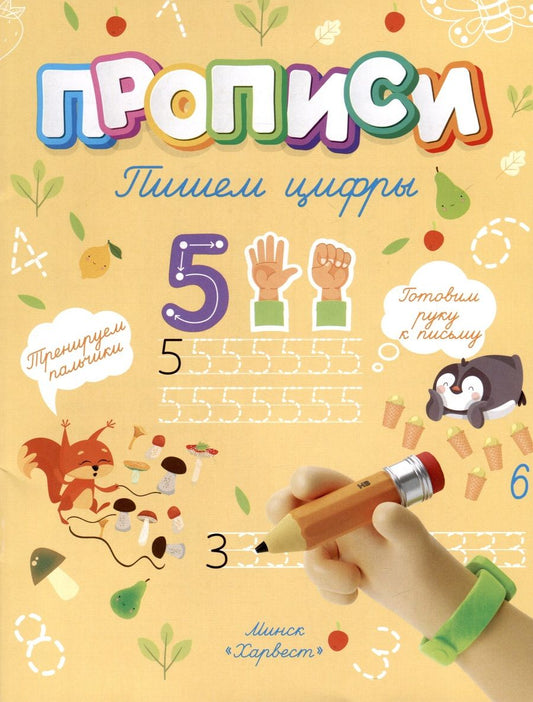Обложка книги "Анастасия Шепелевич: Пишем цифры"