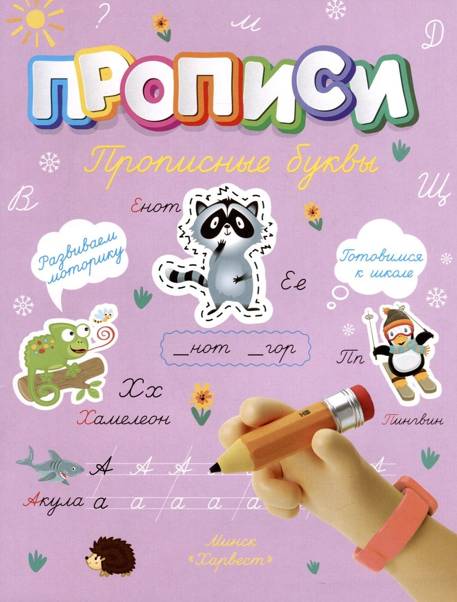 Обложка книги "Анастасия Шепелевич: Прописные буквы"