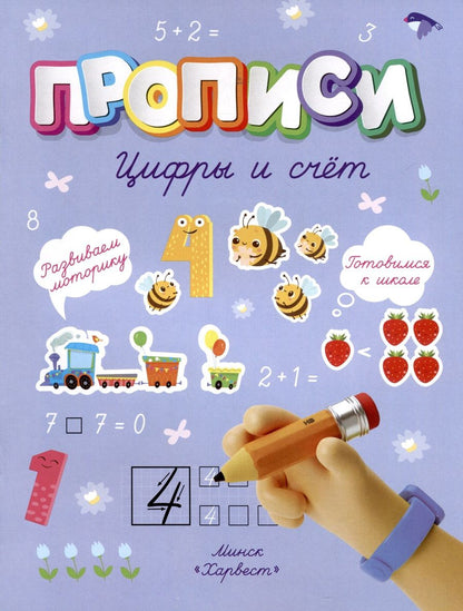 Обложка книги "Анастасия Шепелевич: Цифры и счет"
