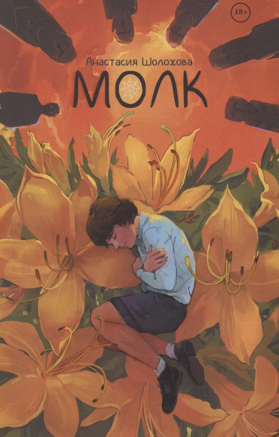 Обложка книги "Анастасия Шолохова: Молк"