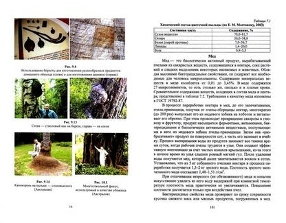 Фотография книги "Анатолий Грязькин: Комплексное использование ресурсов леса. Учебное пособие"