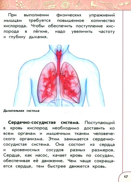 Фотография книги "Анатолий Матвеев: Физическая культура. 4 класс. Учебник. ФГОС"