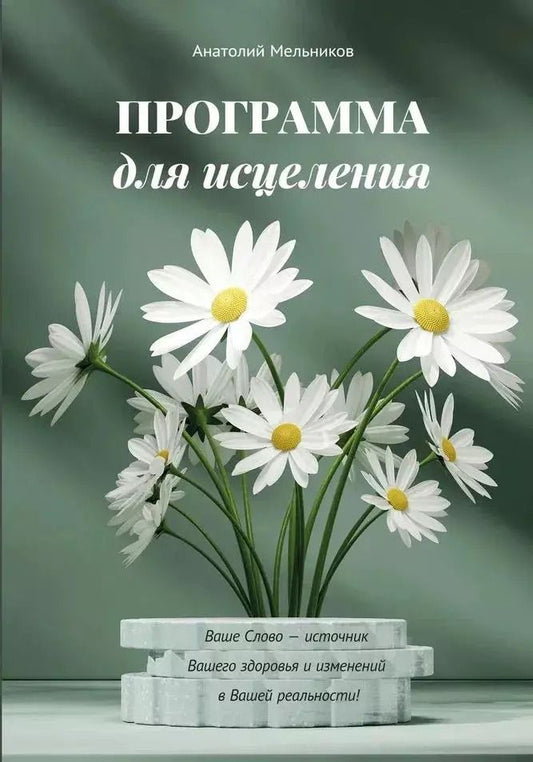 Обложка книги "Анатолий Мельников: Программа для исцеления"