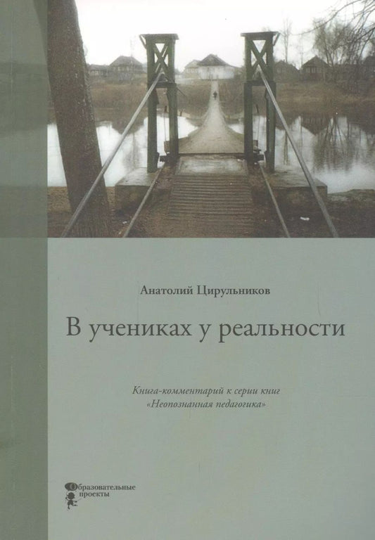 Обложка книги "Анатолий Цирульников: В учениках у реальности. Книга-комментарий к серии книг Неопознанная педагогика"