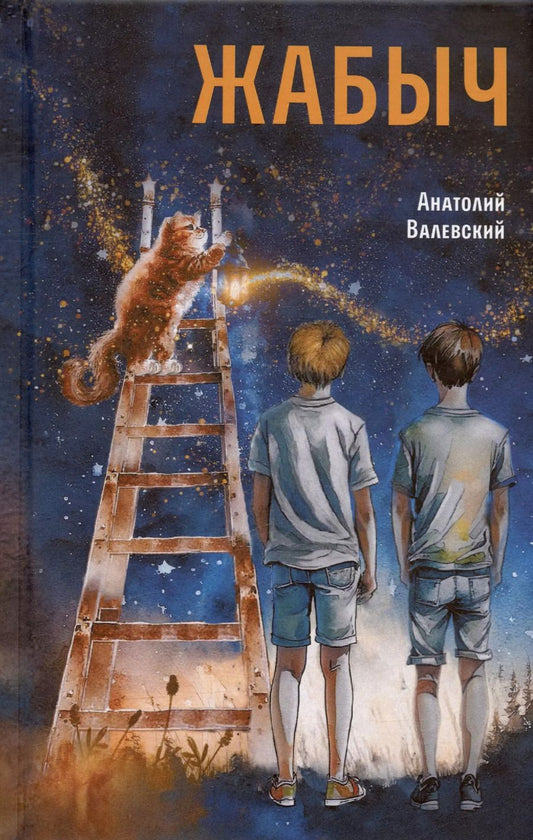 Обложка книги "Анатолий Валевский: Жабыч"
