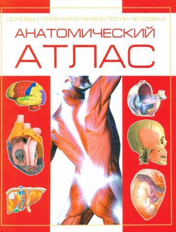 Обложка книги "Анатомический атлас. Основы строения и физиологии человека"