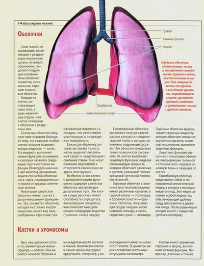 Фотография книги "Анатомический атлас. Основы строения и физиологии человека"
