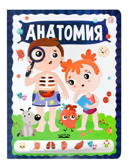 Обложка книги "Анатомия"