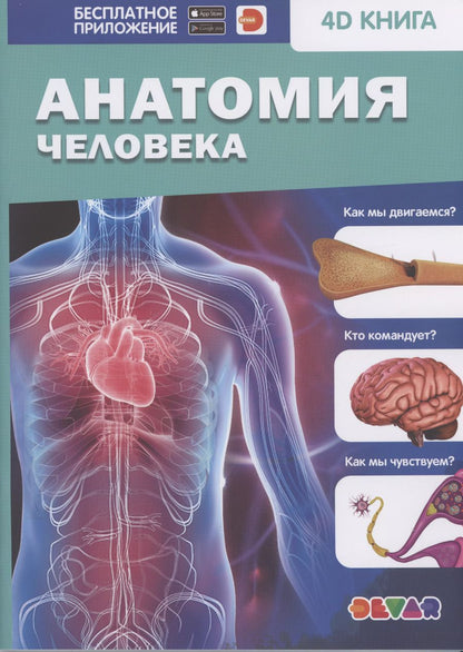 Обложка книги "Анатомия человека"