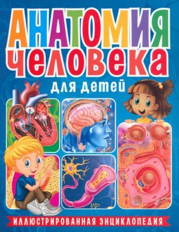 Обложка книги "Анатомия человека для детей. Иллюстрированная энциклопедия"