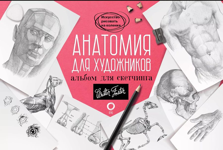 Обложка книги "Анатомия для художников. Альбом для скетчинга"