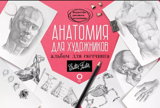 Обложка книги "Анатомия для художников. Альбом для скетчинга"