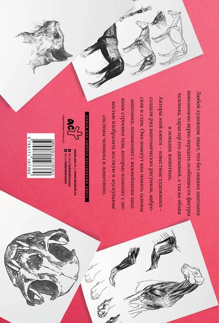 Фотография книги "Анатомия для художников. Альбом для скетчинга"