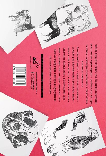 Фотография книги "Анатомия для художников. Альбом для скетчинга"