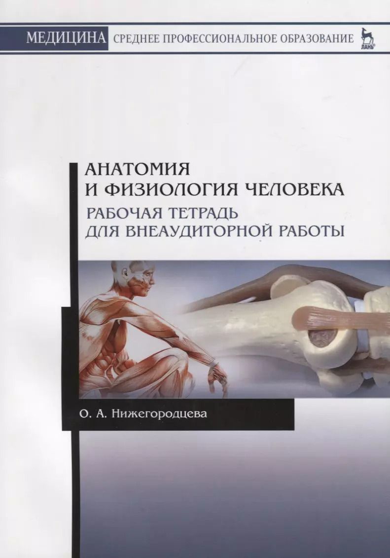 Обложка книги "Анатомия и физиология человека. Рабочая тетрадь для внеаудиторной работы. Учебное пособие"