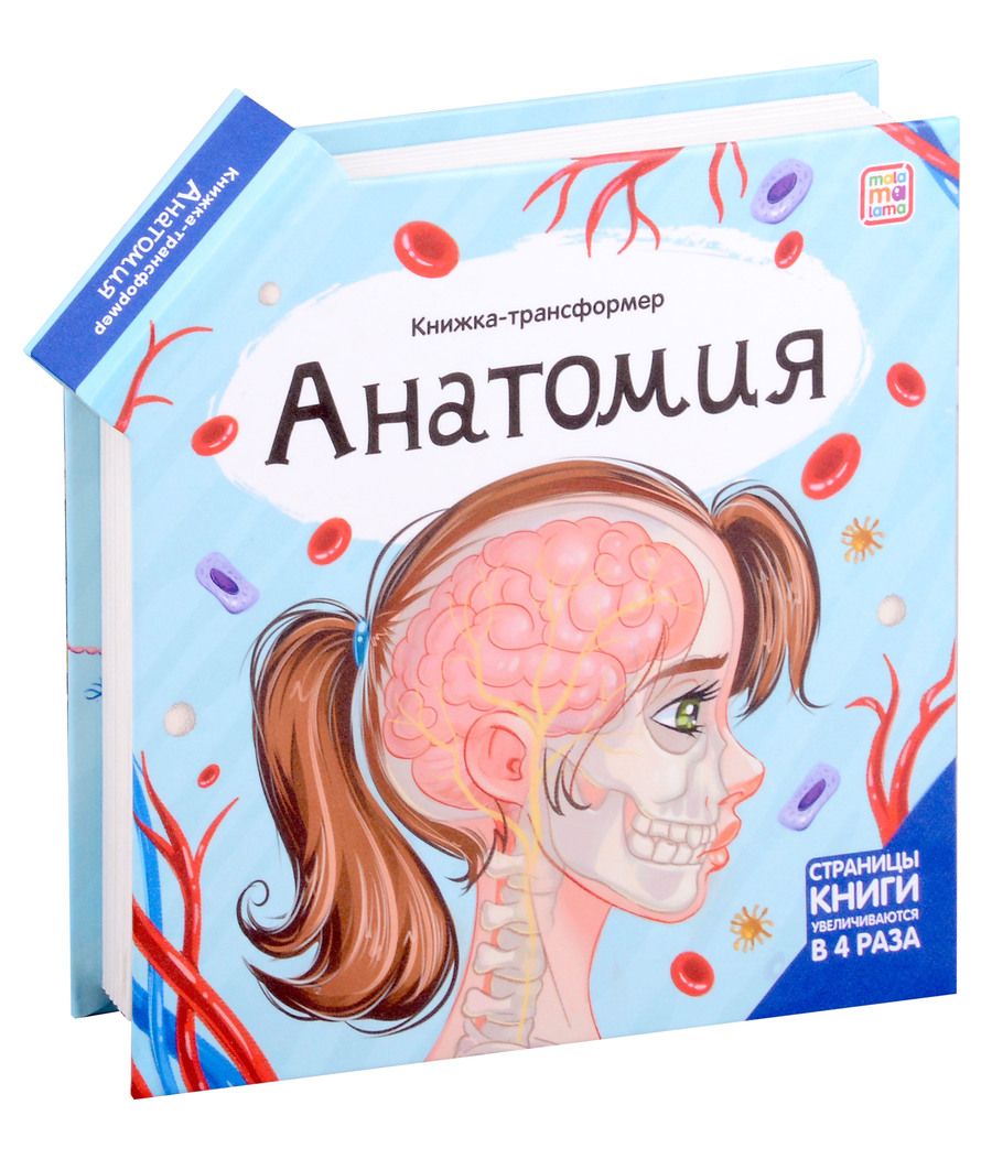 Обложка книги "Анатомия : книжка-трансформер"