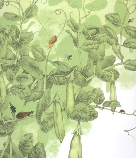 Фотография книги "Андерсен: Пятеро из одного стручка"