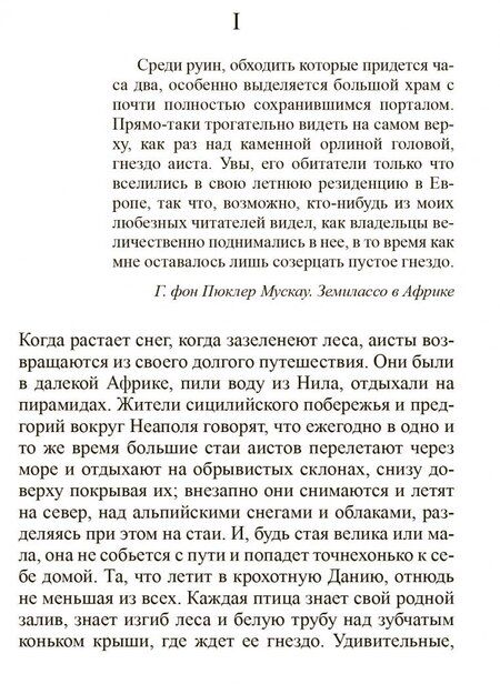 Фотография книги "Андерсен: Всего лишь скрипач"