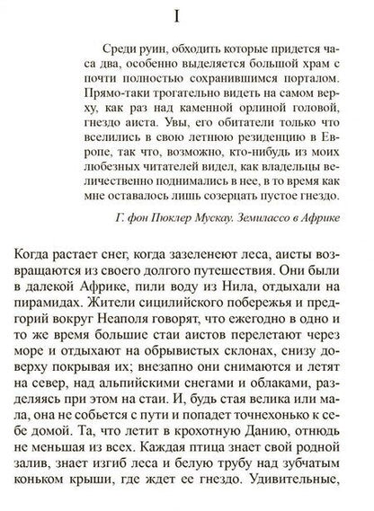 Фотография книги "Андерсен: Всего лишь скрипач"