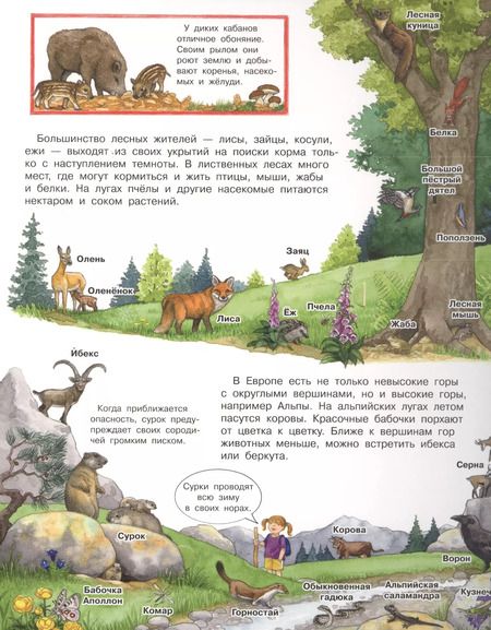 Фотография книги "Андреа Эрне: Что? Почему? Зачем? Мой первый атлас животных (с волшебными окошками)"