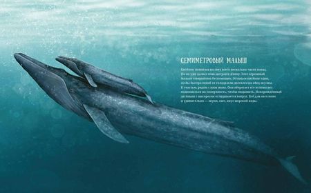 Фотография книги "Андреас Тьернсхауген: Синий кит. Невероятная история самого крупного животного всех времен"