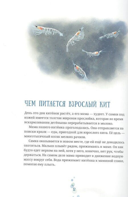 Фотография книги "Андреас Тьернсхауген: Синий кит: невероятная история самого крупного животного всех времён. Издание 2-е, исправленное"