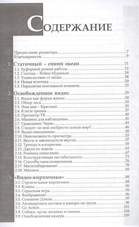 Фотография книги "Андреас Трэски: Теория видео. Онлайн-видео. Эстетика или деградация видео"