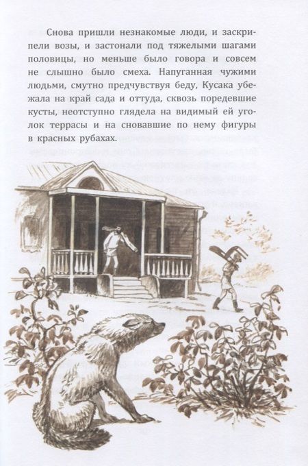 Фотография книги "Андреев, Кнорре, Иванов: Жила на свете собака"