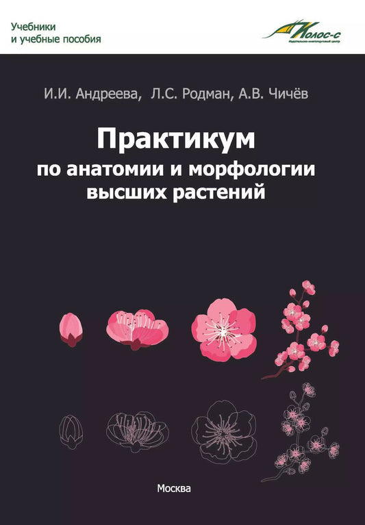 Обложка книги "Андреева, Чичёв, Родман: Практикум по анатомии и морфологии высших растений: учебное пособие"