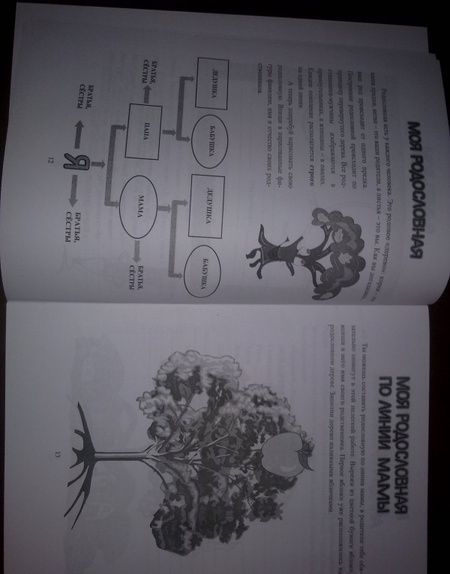 Фотография книги "Андреева, Разваляева: Портфолио в начальной школе. Тетрадь младшего школьника. ФГОС"