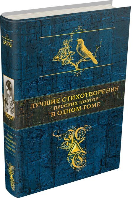 Фотография книги "Андреевич, Романович, Андреевич: Лучшие стихотворения русских поэтов в одном томе"