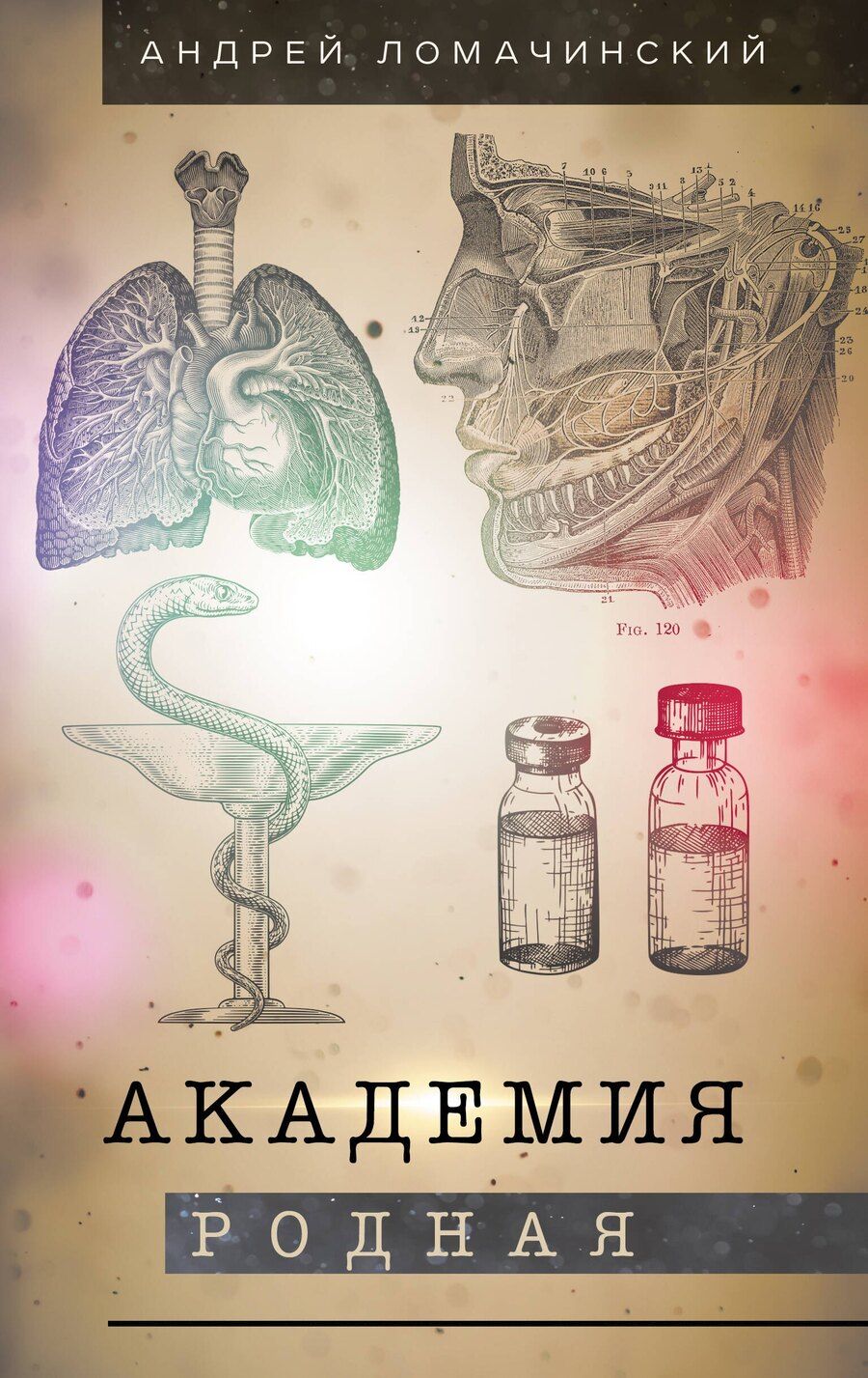 Обложка книги "Андрей Анатольевич: Академия родная"