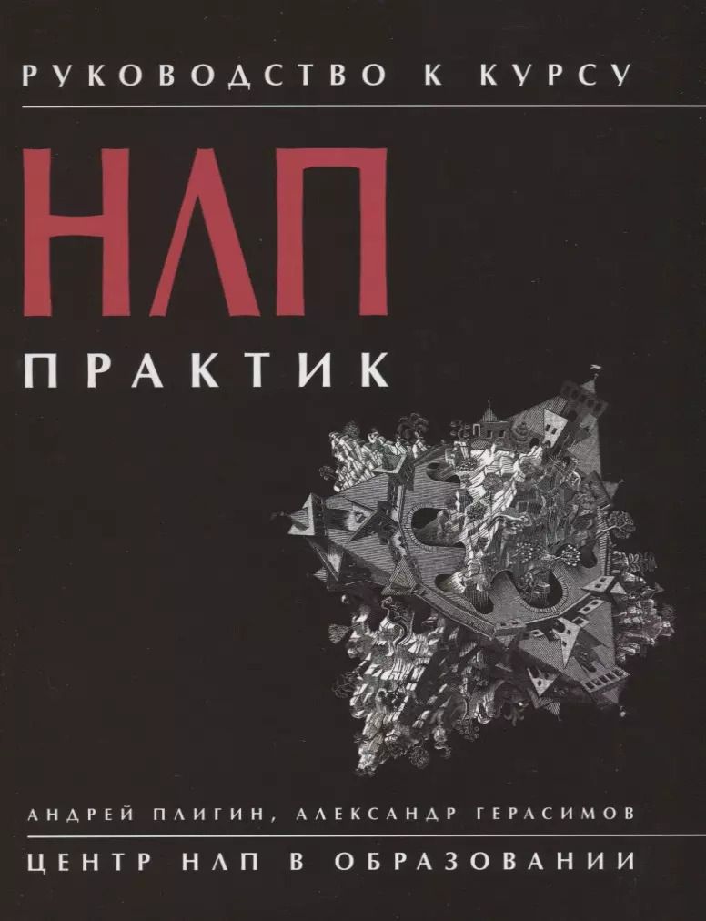 Обложка книги "Андрей Анатольевич: Руководство к курсу НЛП. Практик"