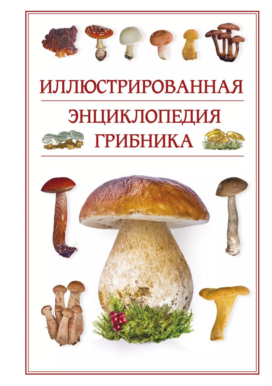 Обложка книги "Андрей Борисович: Иллюстрированная энциклопедия грибника."