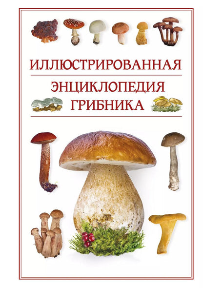 Обложка книги "Андрей Борисович: Иллюстрированная энциклопедия грибника."