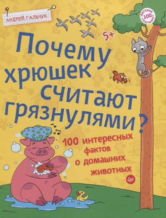 Обложка книги "Андрей Гальчук: Почему хрюшек считают грязнулями? 100 интересных фактов о домашних животных"