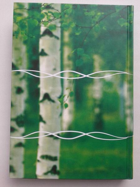 Фотография книги "Андрей Ивашко: Энергоинформационная безопасность Славянского мира"