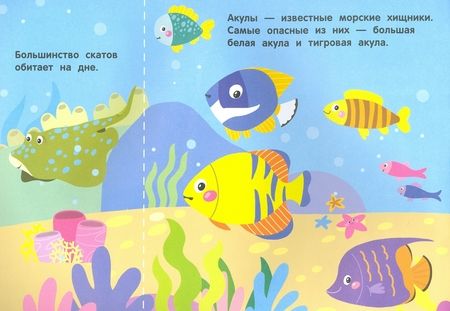 Фотография книги "Андрей Хотулев: Кто под водой живет? Волшебная книжка с клапанами"