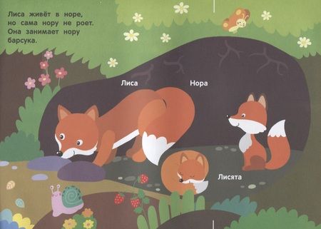 Фотография книги "Андрей Хотулёв: Кто в лесу живет?"