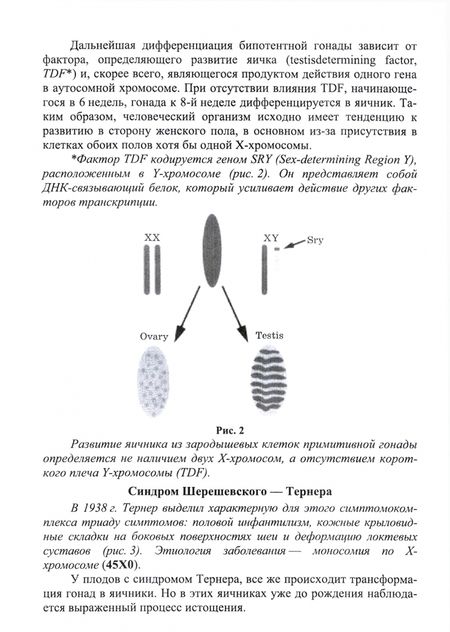 Фотография книги "Андрей Котуков: Оказание акушерско-гинекологической помощи. Курс лекций для студентов II курса. Учебное пособие"