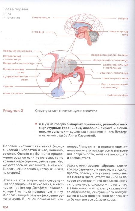 Фотография книги "Андрей Курпатов: Стратегическое мышление в бизнесе. Технология "Векторное кольцо""